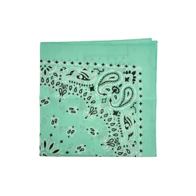 Austin Accent Paisley Print Bandana