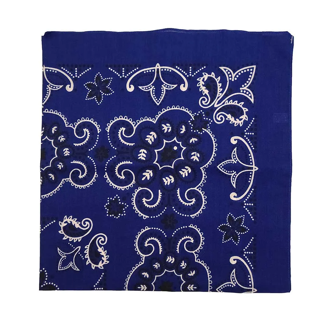 Austin Accent Paisley Print Bandana