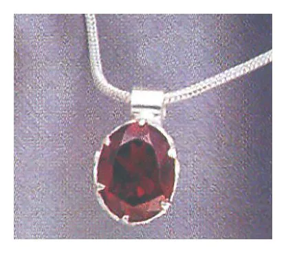 Gwyneth Garnet Necklace