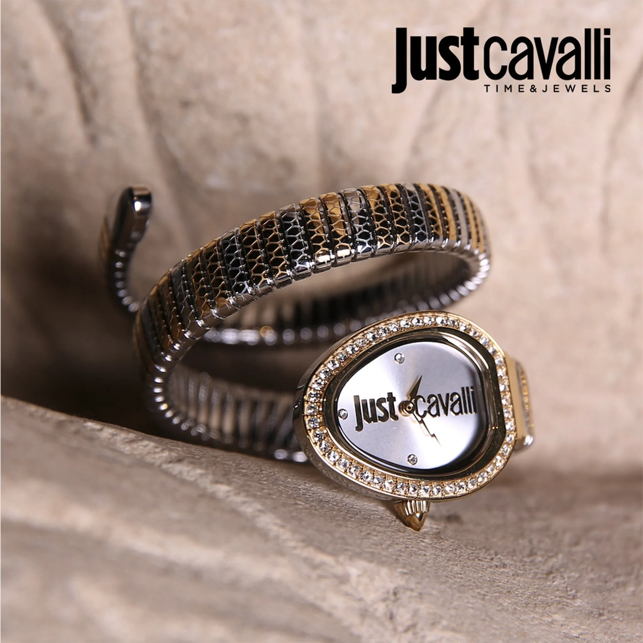 Just Cavalli Stainless Steel Analog Women's Watch JC1L167M0055