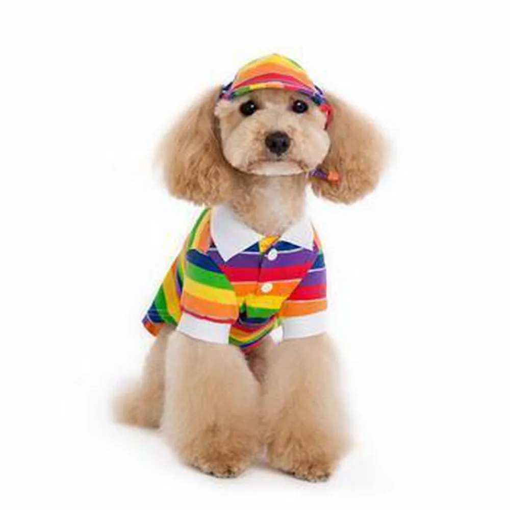 Rainbow Dog Hat