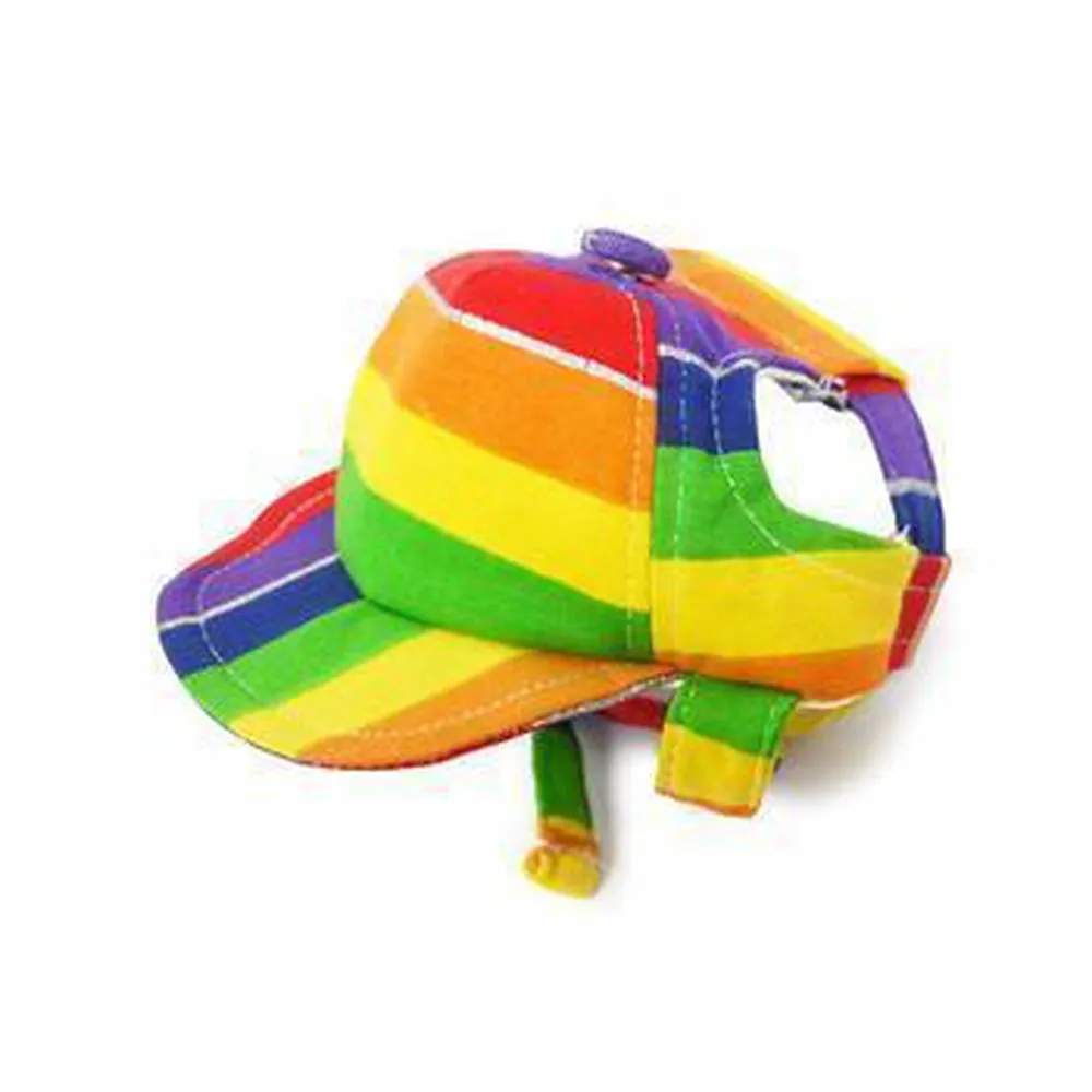 Rainbow Dog Hat