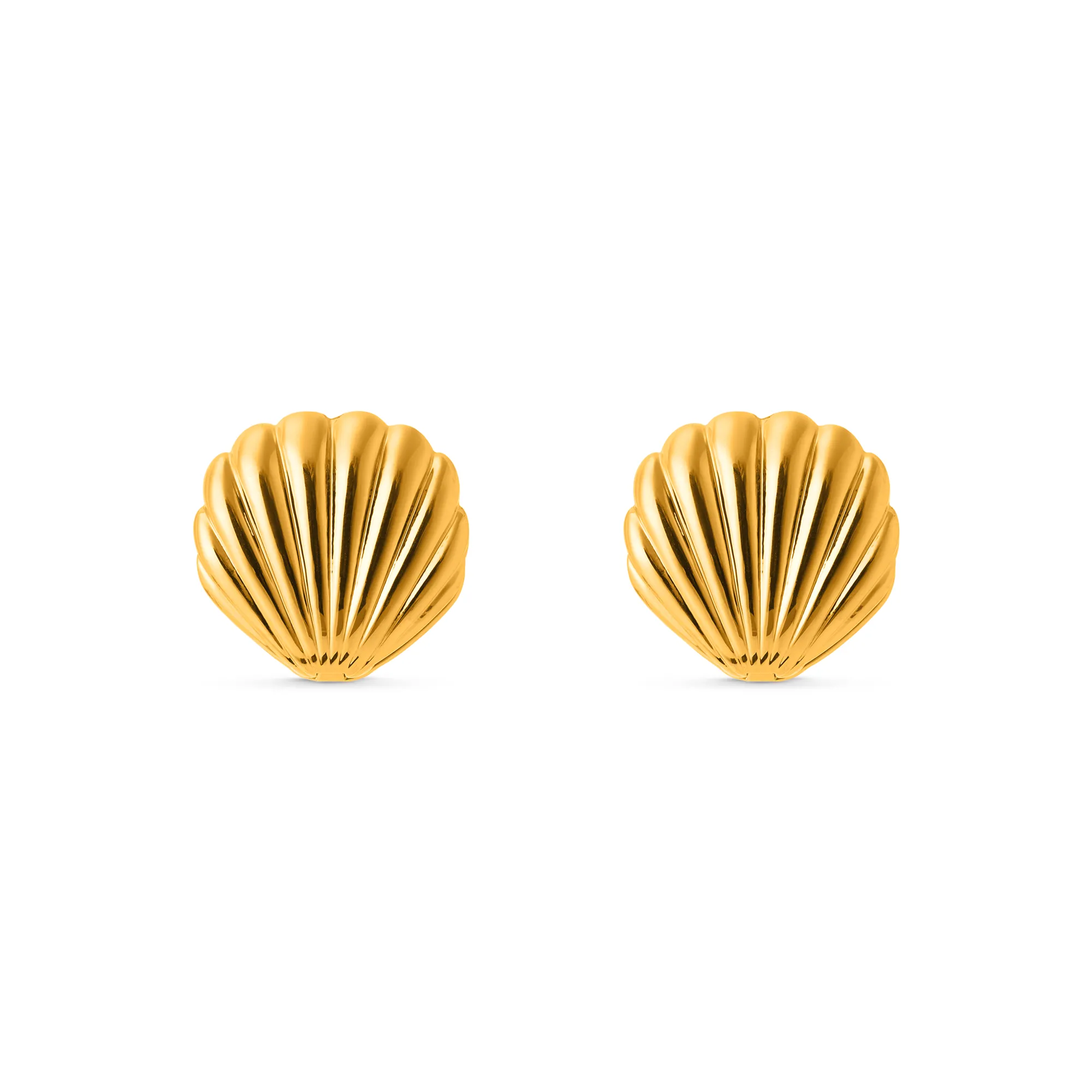 Statement Domed Shell Earrings